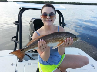 Bonita Springs Redfish