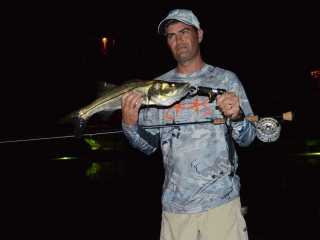 Good Night Fishing For Snook