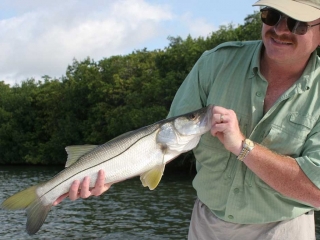 Snook Caught On A Fly