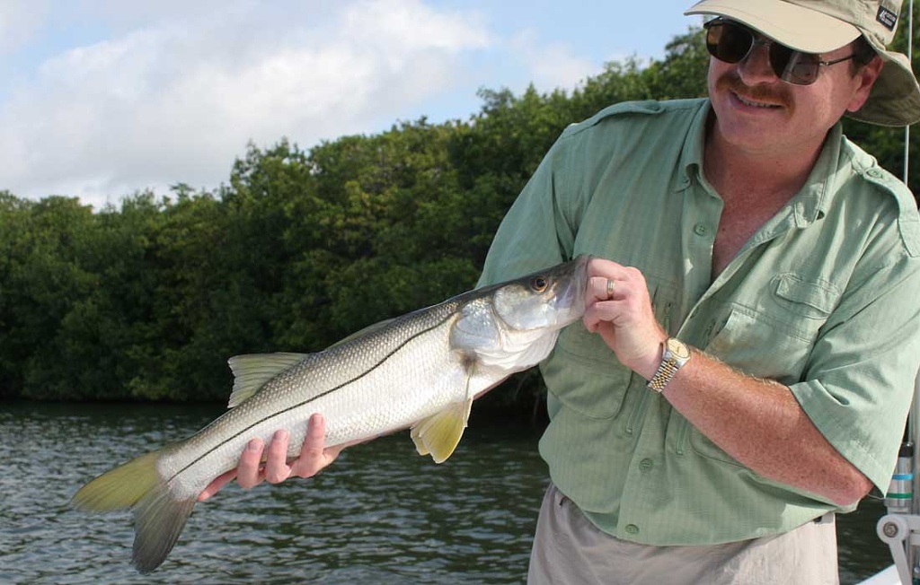 Snook Caught On A Fly
