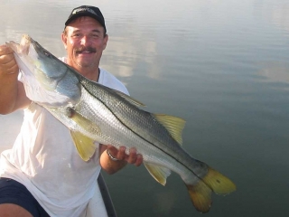 Trophy Size Snook From Estero Bay