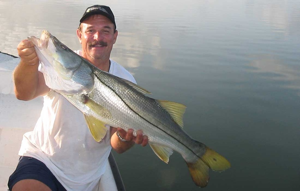Trophy Size Snook From Estero Bay